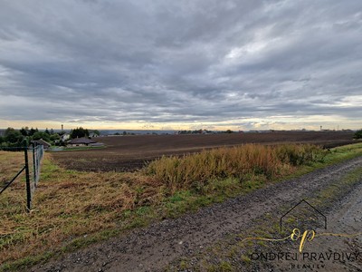 Prodej  pole 8 534 m²