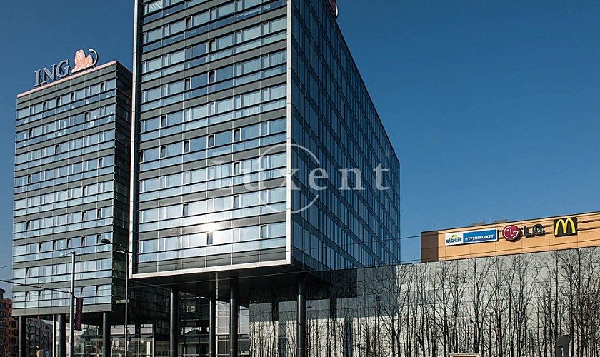 Pronájem kanceláře 600 m² – fotografie 4
