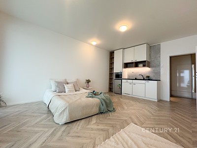Pronájem bytu 1+kk 39 m²