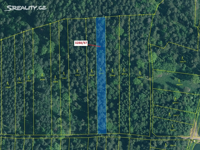 Dražba  lesa 1 729 m² – pohled 2