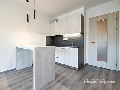 Pronájem bytu 1+kk 34 m²