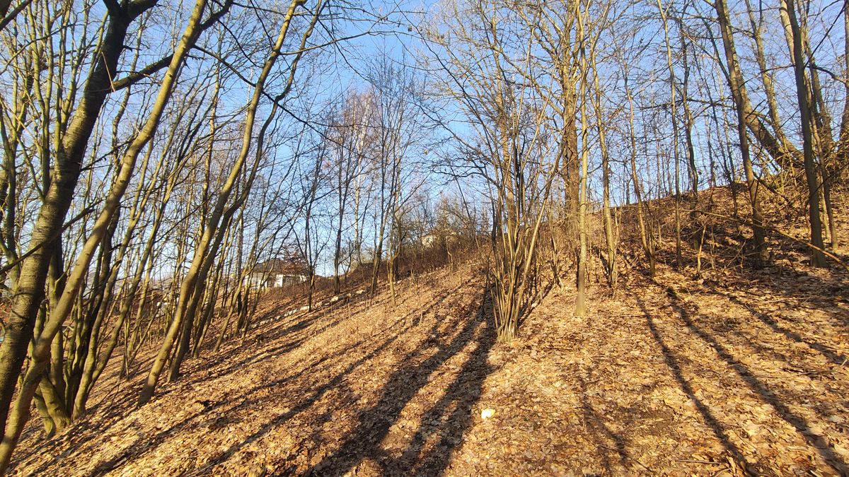 Prodej stavebního pozemku 705 m² – fotografie 3
