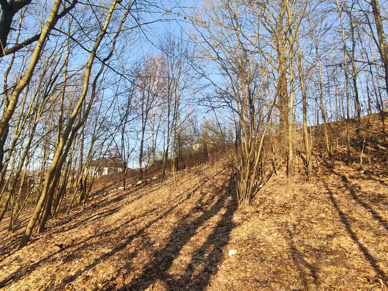 Prodej stavebního pozemku 705 m², Nemile – náhled fotky 3