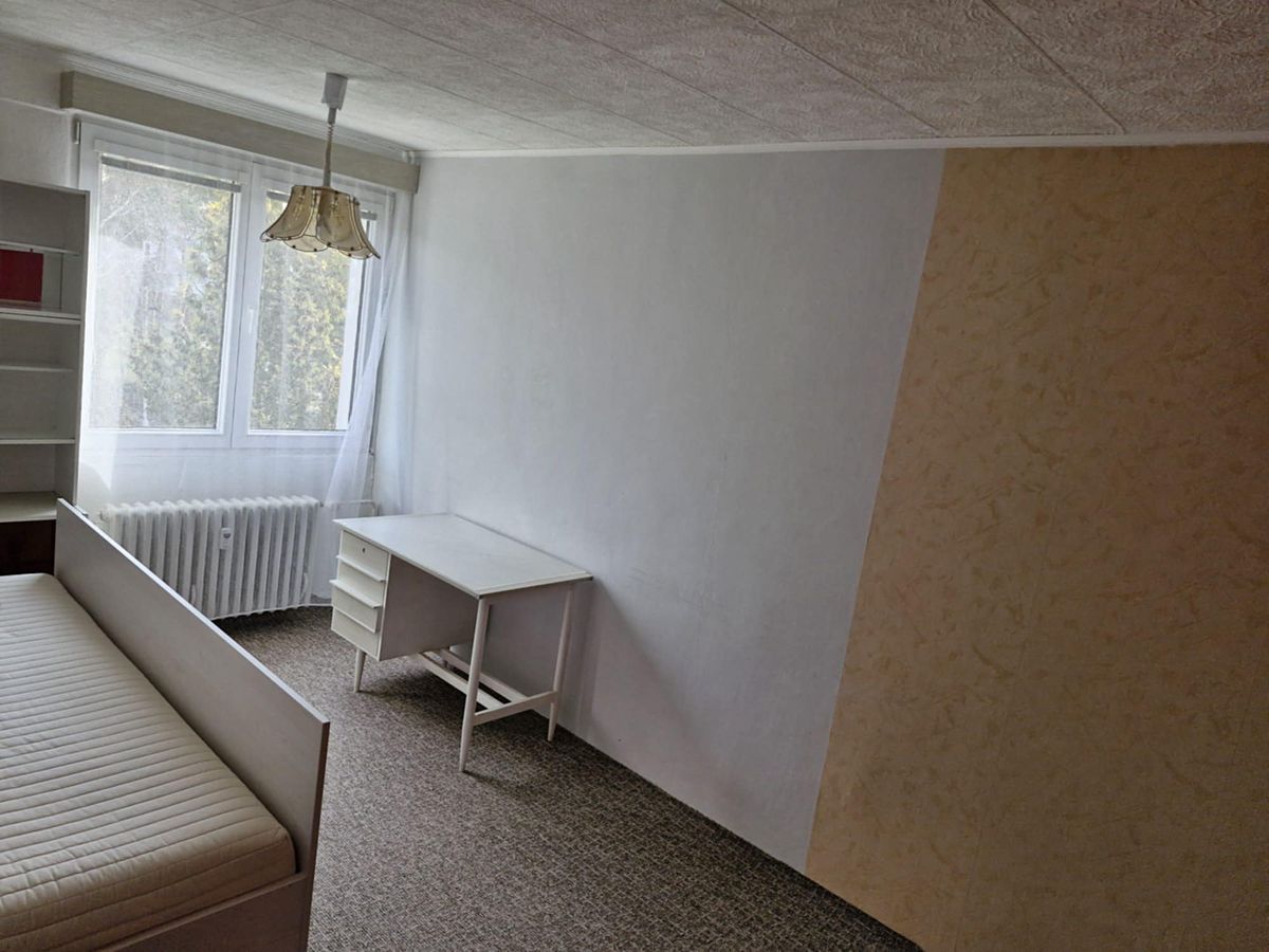 Prodej bytu 3+1 58 m² – fotografie 4