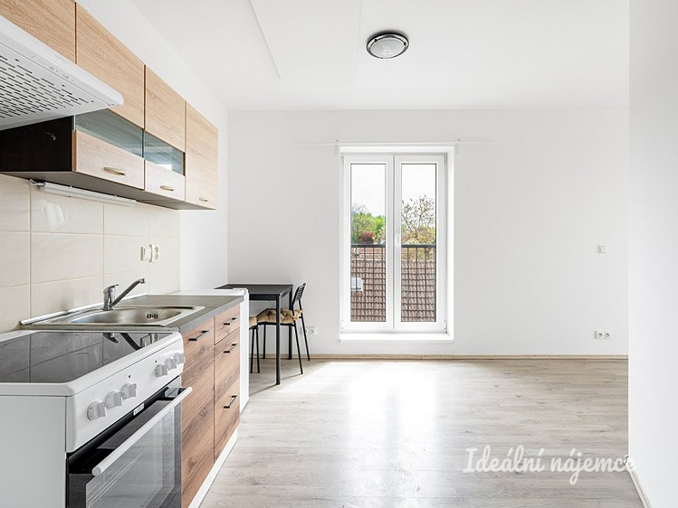 Wohnung 1+kk zur Miete, 23 m² (1 von 9)