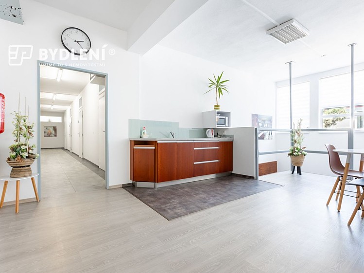 Pronájem komerčního prostoru, 2 109 m² (15 z 30)