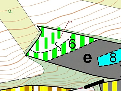 Dražba  lesa 4 557 m² — photo 3