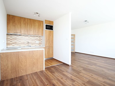 Pronájem bytu 3+kk 66 m² (Jednopodlažní)