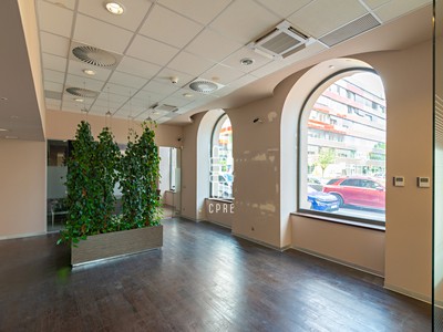 Pronájem kanceláře 246 m² — photo 2
