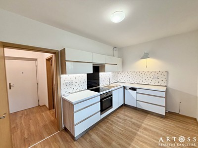 Pronájem bytu 1+1 33 m²