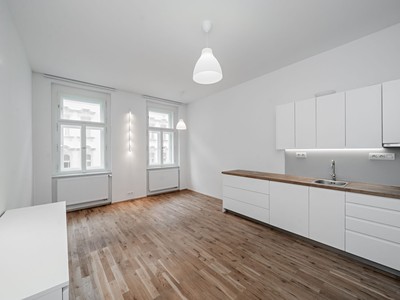 Pronájem bytu 1+1 36 m²