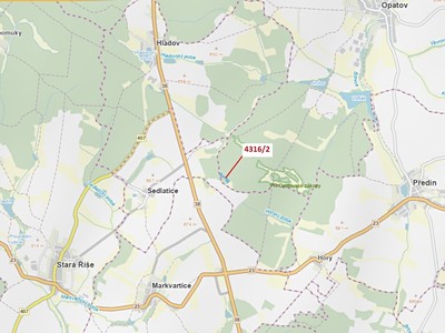 Dražba  lesa 7 085 m²