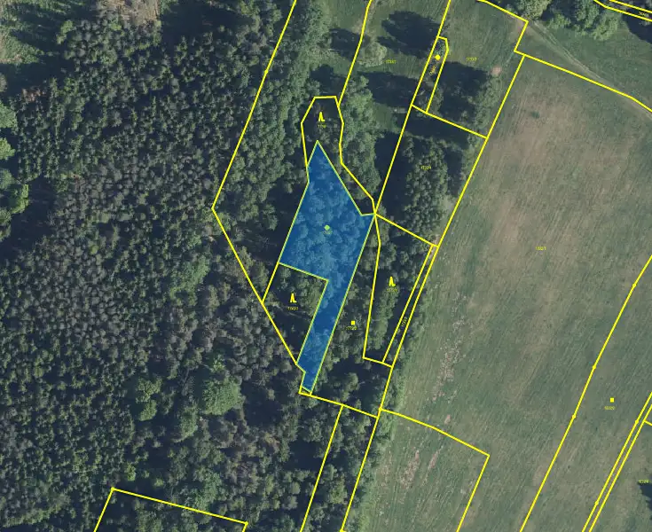 Prodej louky 19616 m², Cvikov – náhled fotky 2