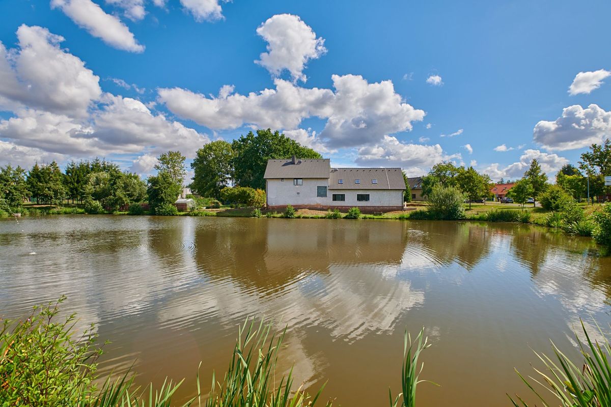 Prodej rodinného domu 250 m², pozemek 942 m² – fotografie 2