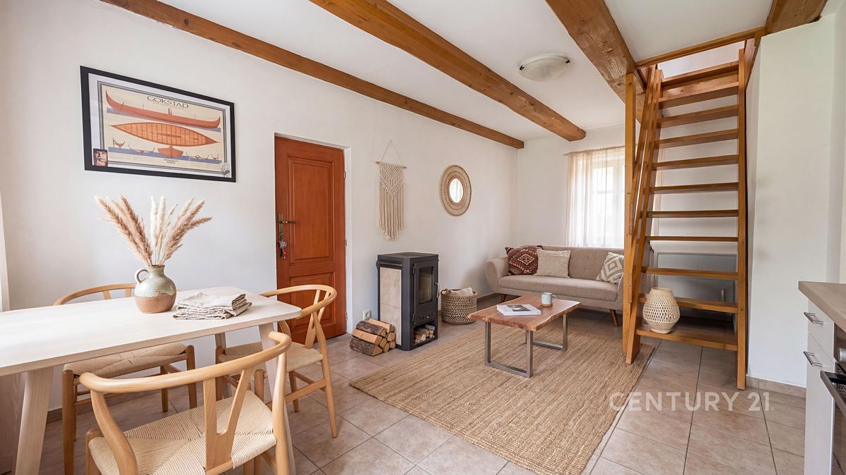 Prodej rodinného domu 550 m², pozemek 9910 m² – fotografie 3