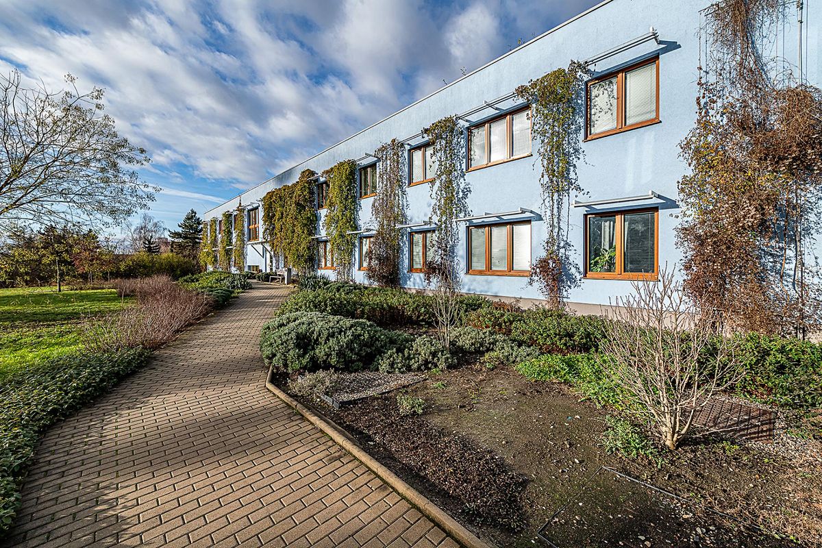 Prodej bytu 1+kk 49 m² (Jednopodlažní)