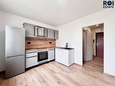 Pronájem bytu 1+1 38 m²