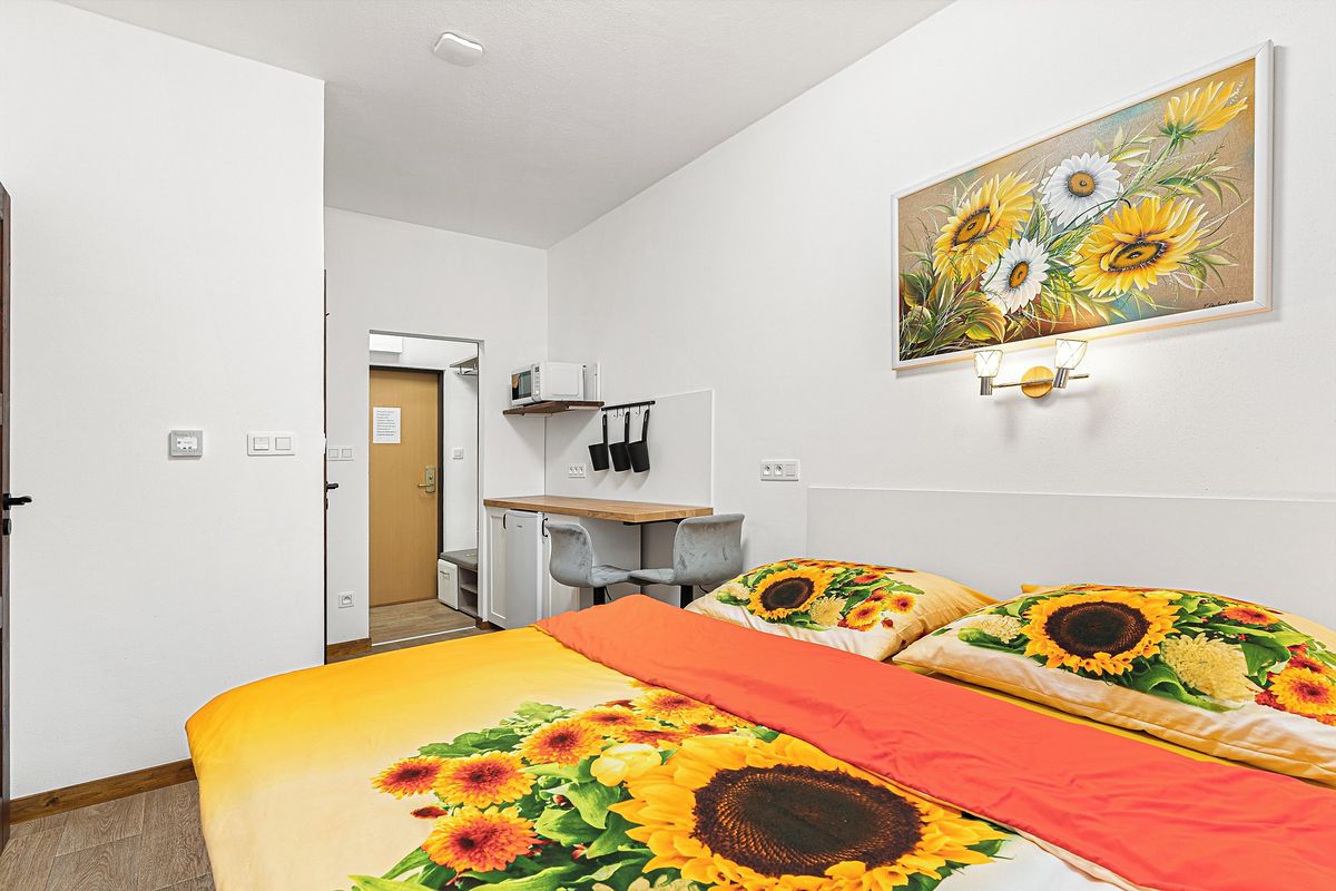 Prodej bytu 1+kk 17 m²