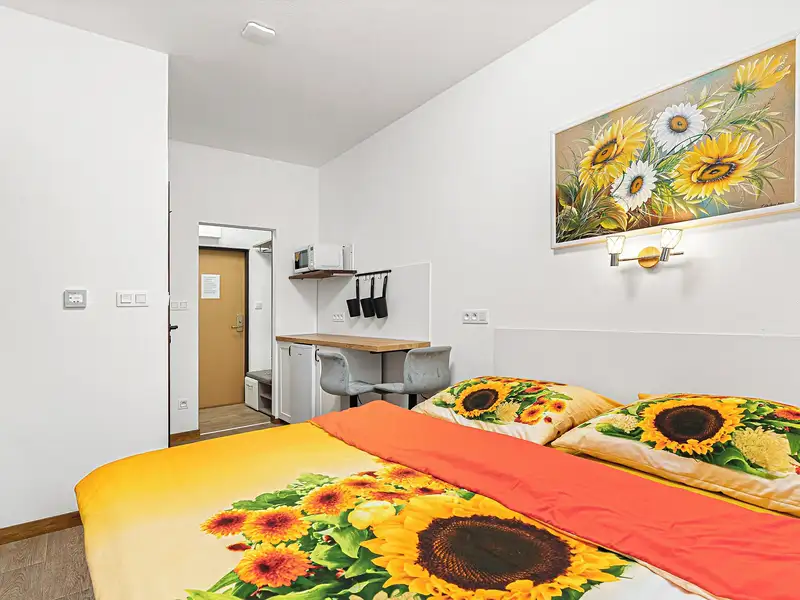 Prodej bytu 1+kk 17 m², Benešov nad Černou – náhled fotky 1