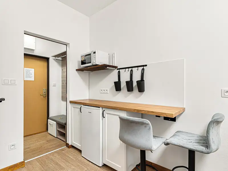 Prodej bytu 1+kk 17 m², Benešov nad Černou – náhled fotky 2