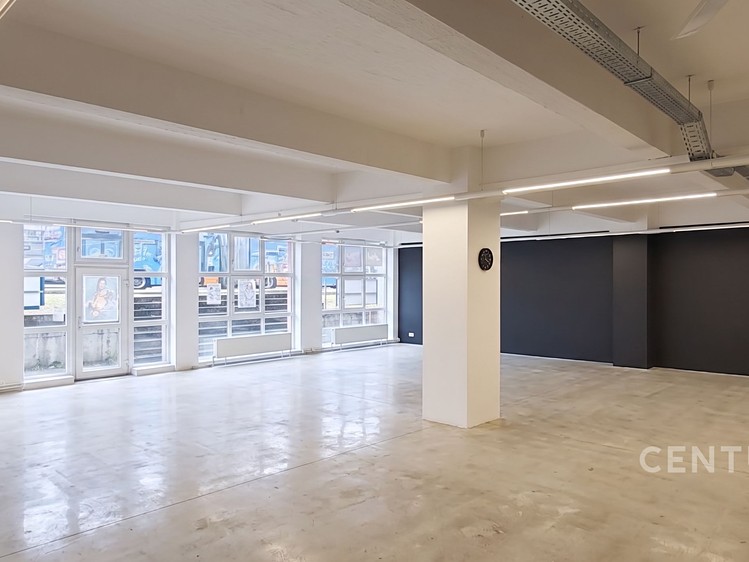 Pronájem komerčního prostoru, 162 m² (8 z 8)