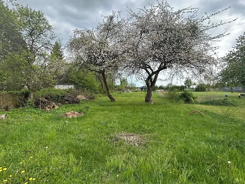 Prodej zahrady 874 m², Svitavy – náhled fotky 1