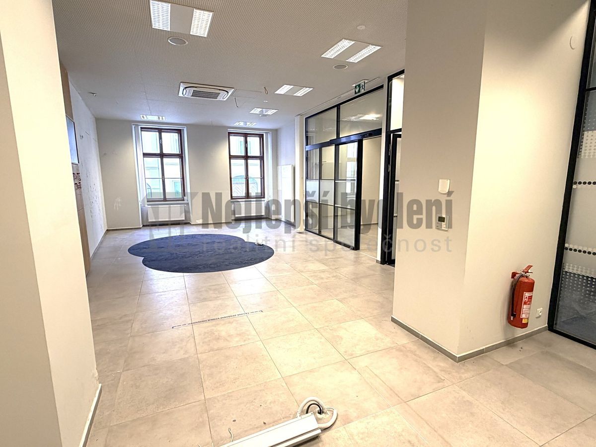 Prodej obchodního prostoru 124 m² – fotografie 2