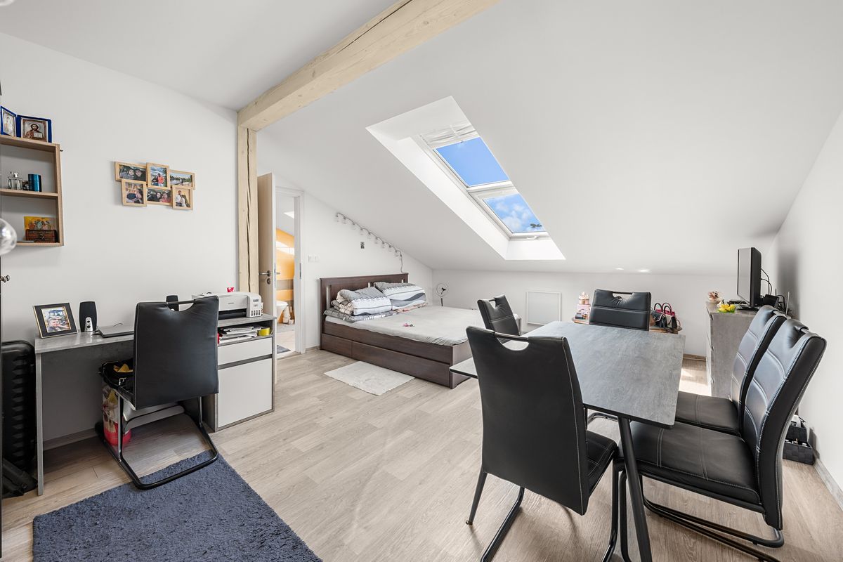 Prodej rodinného domu 340 m², pozemek 450 m² – fotografie 5