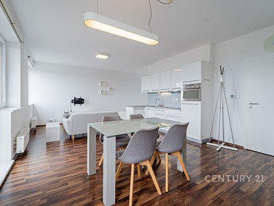 Pronájem bytu 1+kk 43 m²