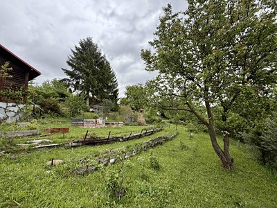 Prodej  zahrady 476 m²