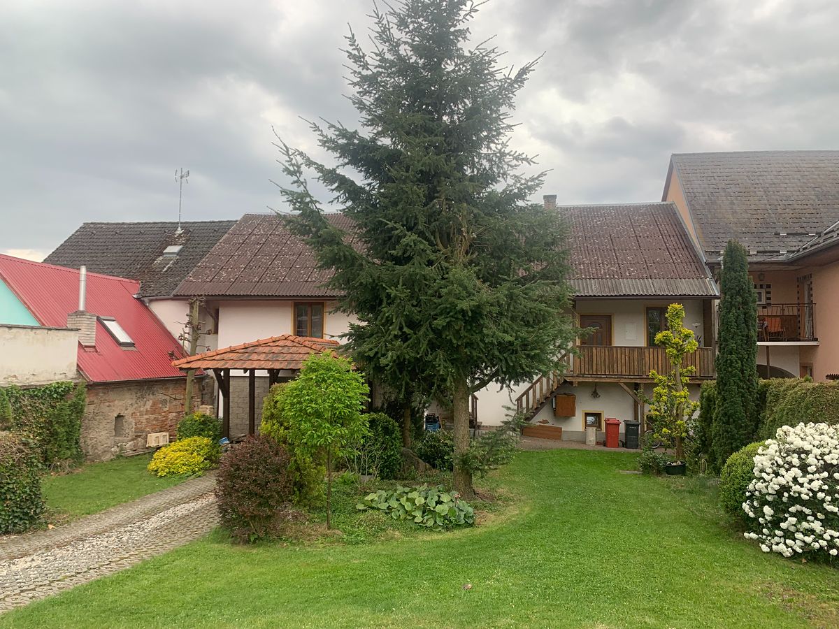 Pronájem bytu 1+1 45 m²