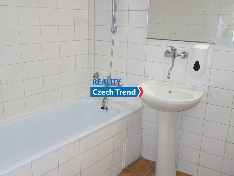 Pronájem bytu 4+1, 137 m² (7 z 8)