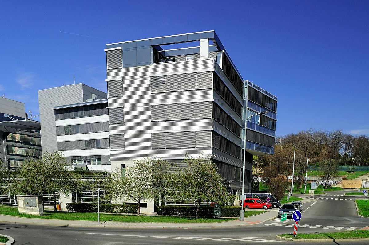 Pronájem kanceláře 228 m² – fotografie 4