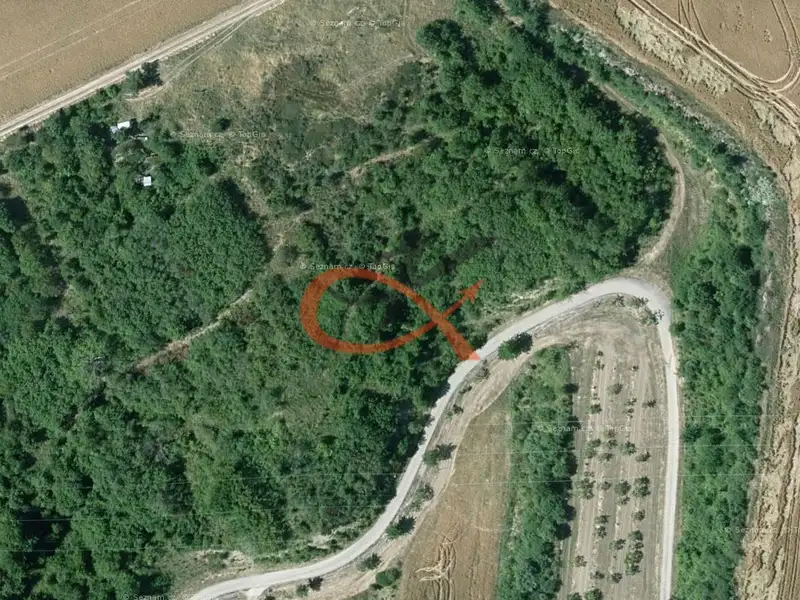 Prodej sadu, vinice 1911 m², Dambořice – náhled fotky 2