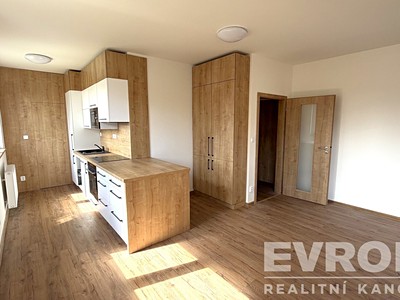 Pronájem bytu 1+kk 44 m²