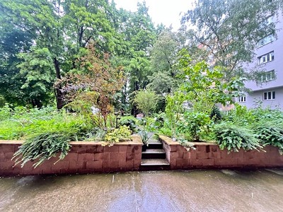 Pronájem bytu 2+1 42 m² (Jednopodlažní)