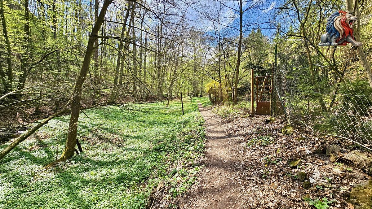 Prodej chaty 24 m², pozemek 889 m² – fotografie 5