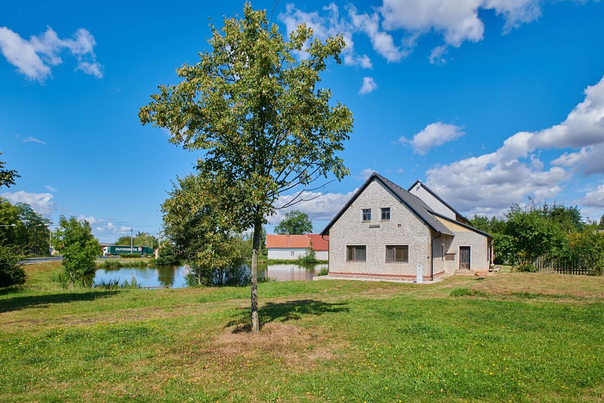 Prodej rodinného domu 250 m², pozemek 942 m² – fotografie 5