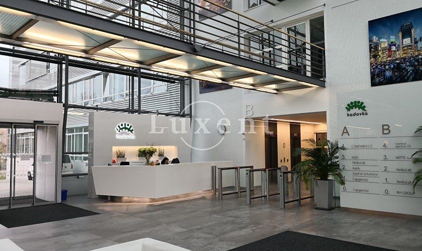 Pronájem kanceláře 410 m²