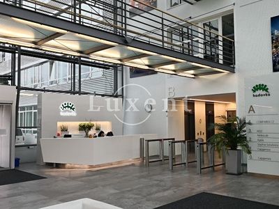 Pronájem kanceláře 410 m²