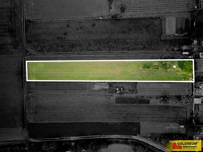 Prodej  pole 2 647 m²