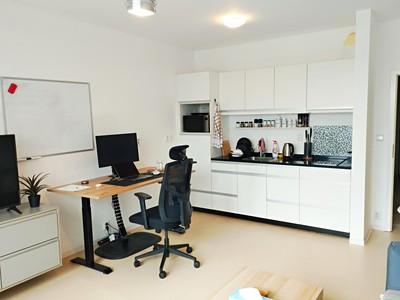 Pronájem bytu 1+kk 42 m²