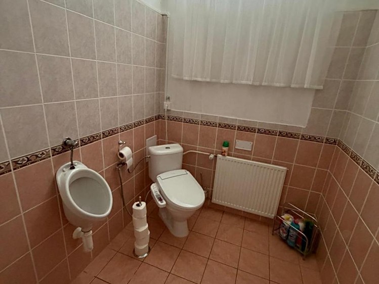 Pronájem komerčního prostoru, 167 m² (15 z 21)