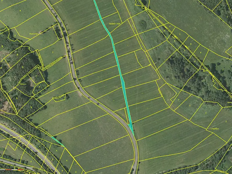 Prodej pole 6968 m², Plánice – náhled fotky 1