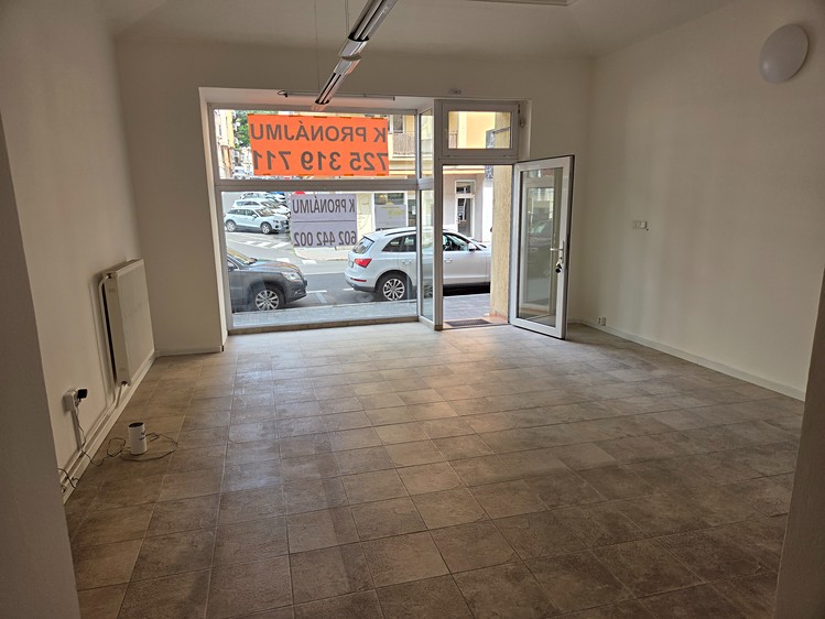 Pronájem komerčního prostoru, 56 m² (7 z 9)