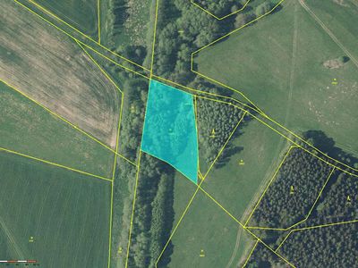 Prodej louky 4529 m²