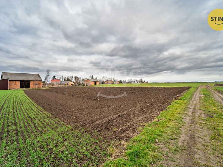 Ділянка на продаж, 500 м² (7 з 8)