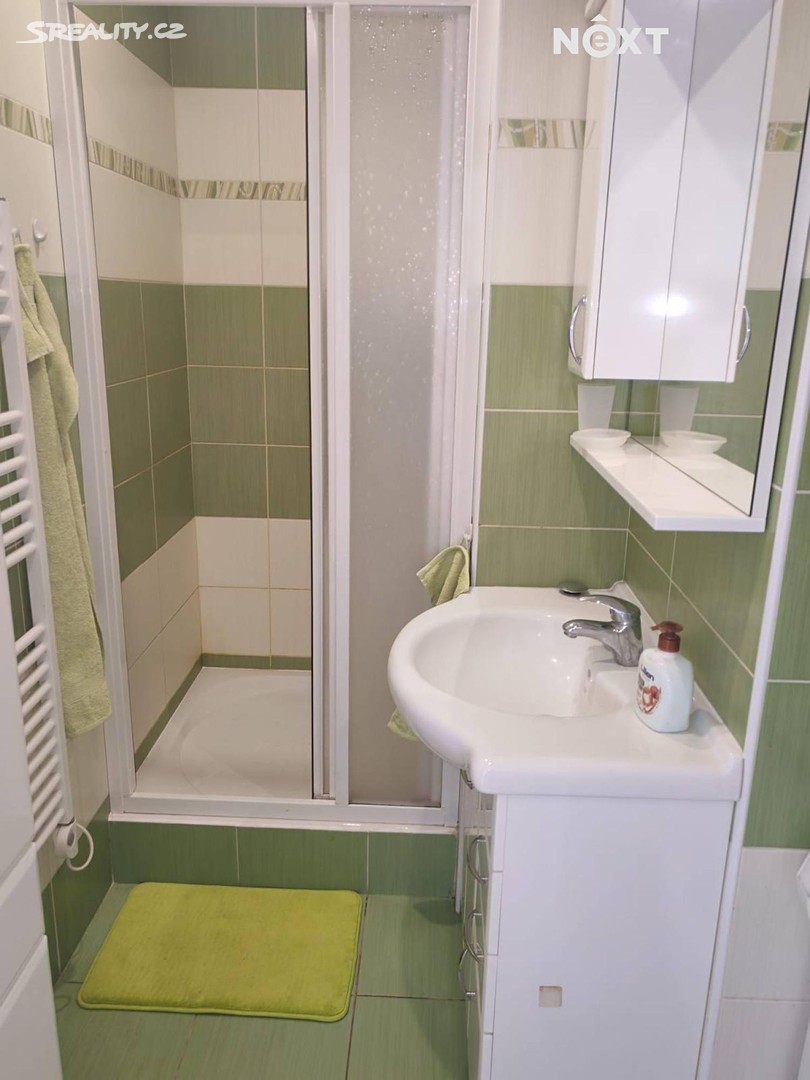 Pronájem bytu 2+1 56 m² (Jednopodlažní) – pohled 6