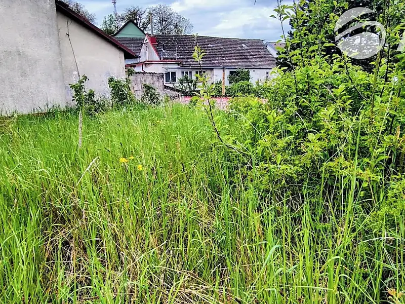 Prodej stavebního pozemku 213 m², Traplice – náhled fotky 1