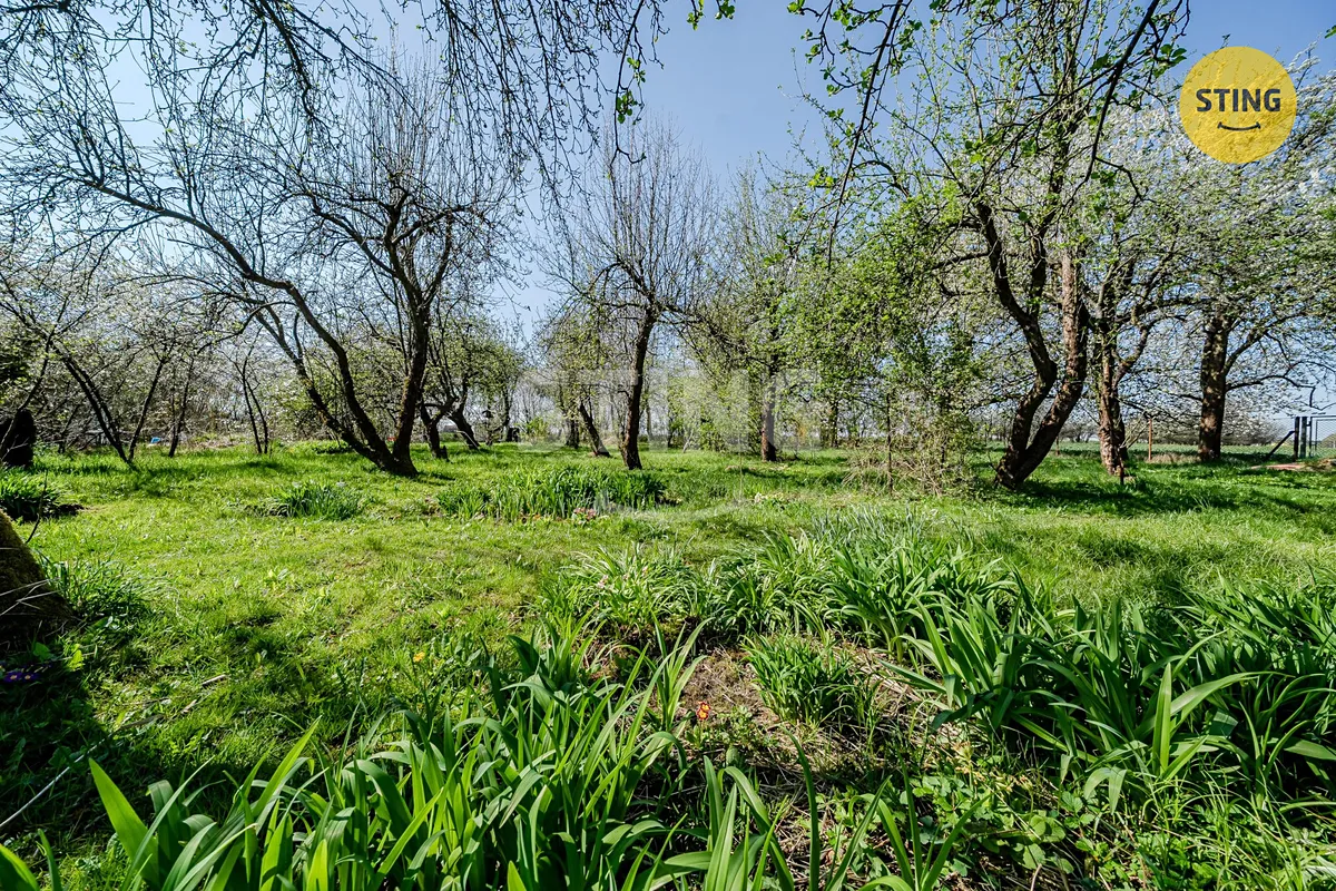 Fotka 10 z 16